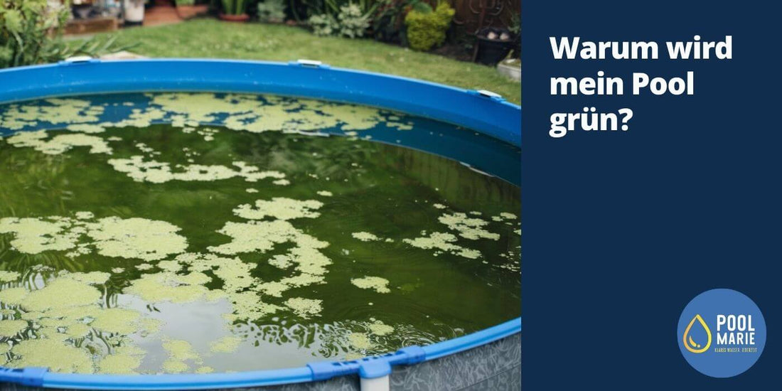 Warum wird mein Pool grün?