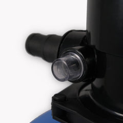 Schauglas